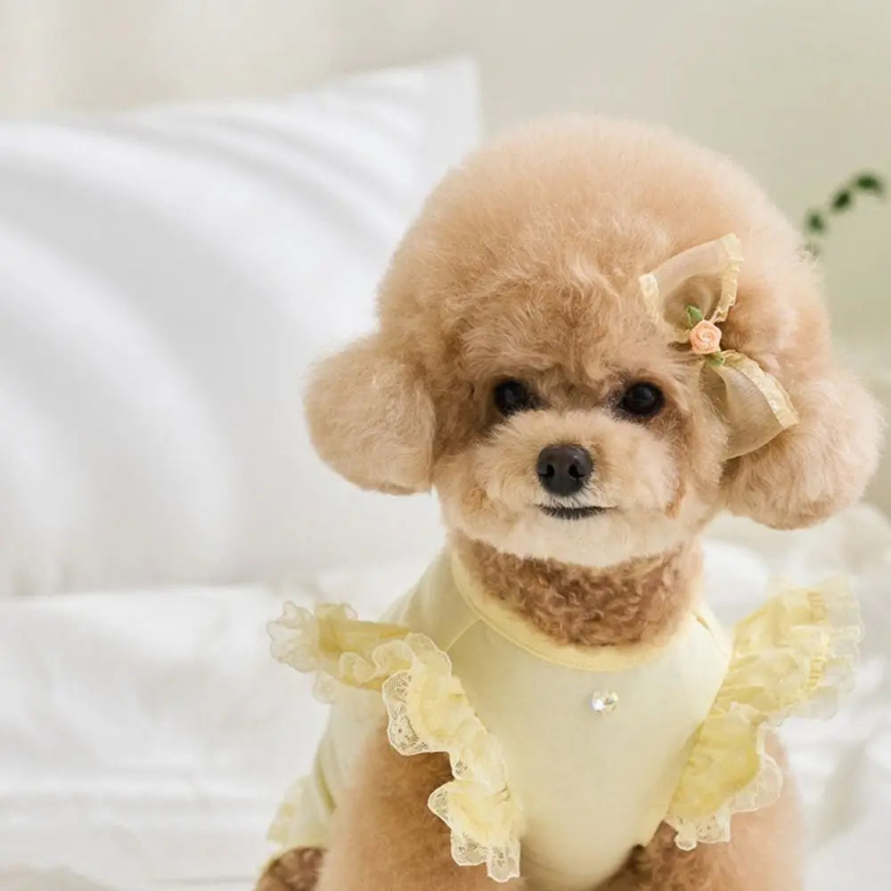 Suministros para mascotas, chaleco de verano de encaje para mascotas, falda Base para gatos con manga voladora suave, ropa transpirable para perros y cachorros