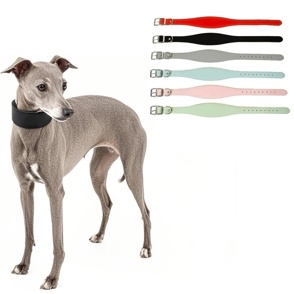 Collar ancho de cuero suave para perros para razas pequeñas, cuello acolchado cómodo y seguro para Whippet, Saluki, galgo italiano