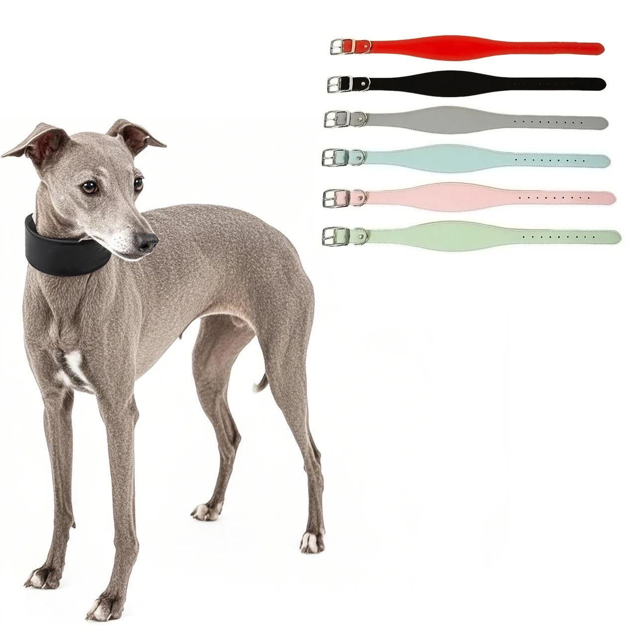 Collar ancho de cuero suave para perros para razas pequeñas, cuello acolchado cómodo y seguro para Whippet, Saluki, galgo italiano