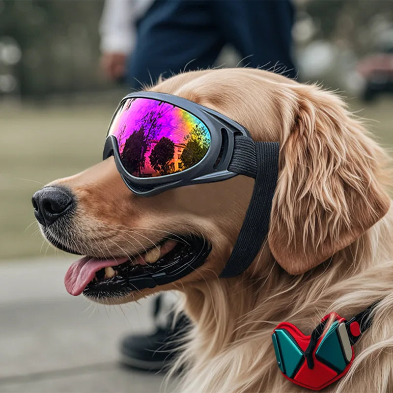 Gafas de sol ajustables para perros, gafas de sol Anti-UV, protección para los ojos, gafas de sol negras ampliamente utilizadas, suministros para perros y mascotas
