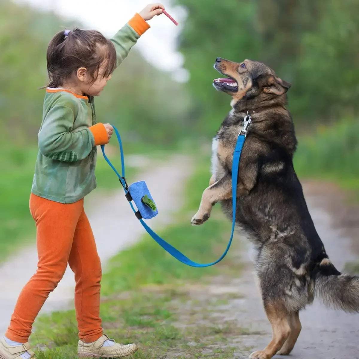 Dispensador de bolsas para excrementos de perros, bolsa de almacenamiento, productos, bolsas de residuos para mascotas, portador, accesorios para caminar, suministros de limpieza