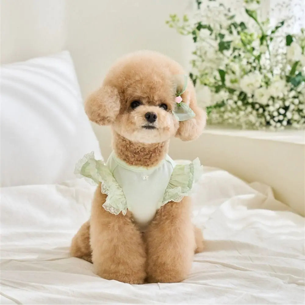 Suministros para mascotas, chaleco de verano de encaje para mascotas, falda Base para gatos con manga voladora suave, ropa transpirable para perros y cachorros