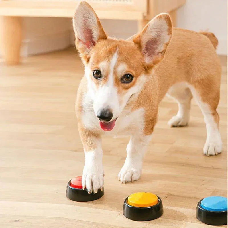 Caja de sonido para mascotas, botón parlante grabable, grabadora de voz para gatos, suministros de comunicación, entrenamiento, juguetes para perros, accesorios para cachorros