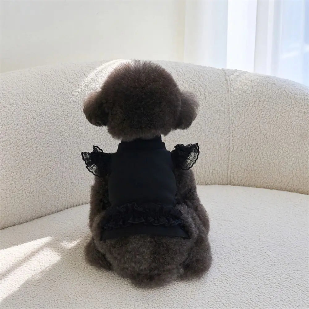 Suministros para mascotas, chaleco de verano de encaje para mascotas, falda Base para gatos con manga voladora suave, ropa transpirable para perros y cachorros