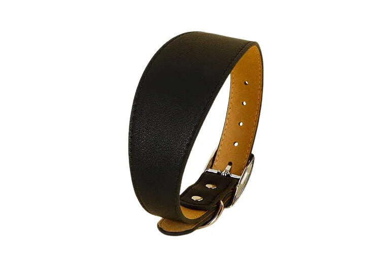 Collar ancho de cuero suave para perros para razas pequeñas, cuello acolchado cómodo y seguro para Whippet, Saluki, galgo italiano