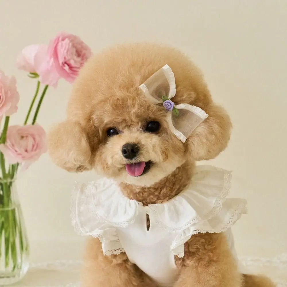 Suministros para mascotas, chaleco de verano de encaje para mascotas, falda Base para gatos con manga voladora suave, ropa transpirable para perros y cachorros