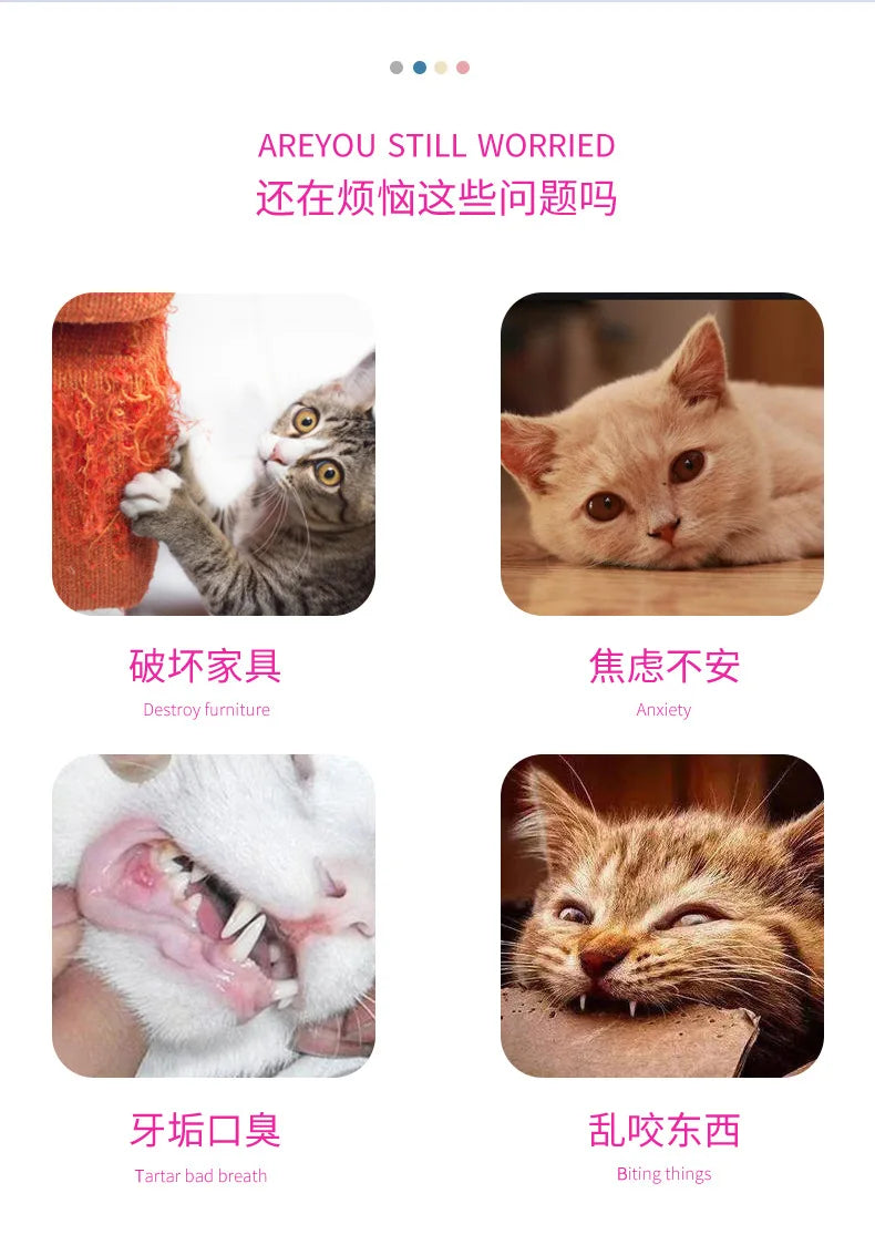 Juguete para Gato, tubo de cuerda con resorte de plumas, juguete elástico, suministros para mascotas, juguetes interactivos para gatos, juguetes interactivos para gatos, juguetes de plumas