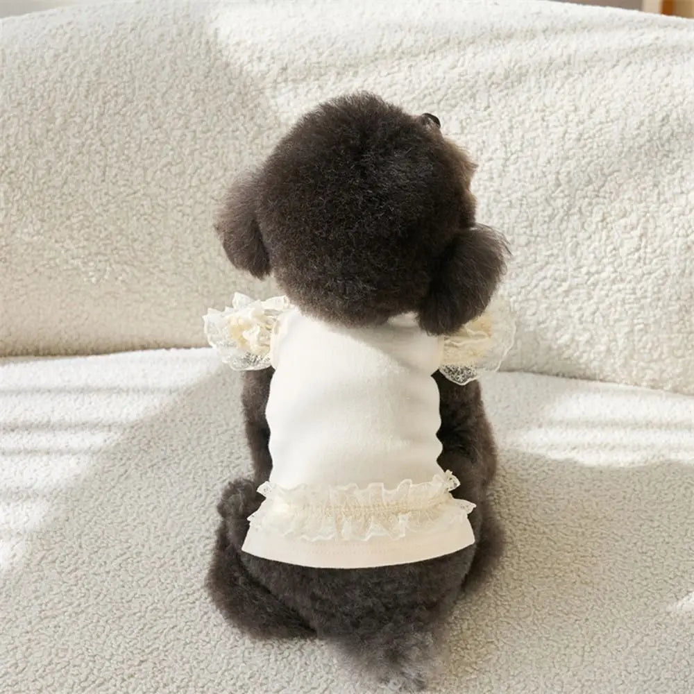 Suministros para mascotas, chaleco de verano de encaje para mascotas, falda Base para gatos con manga voladora suave, ropa transpirable para perros y cachorros