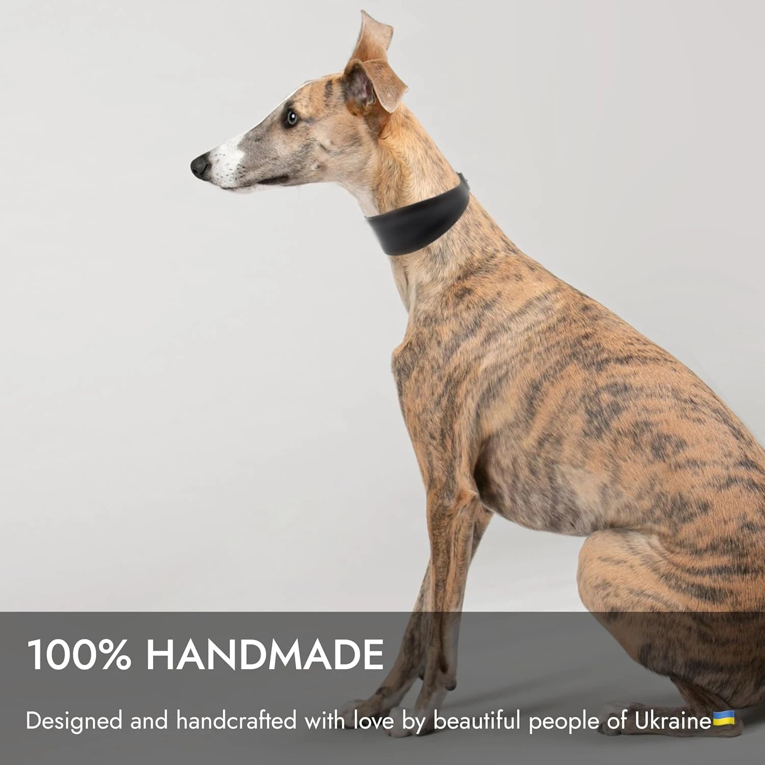 Collar ancho de cuero suave para perros para razas pequeñas, cuello acolchado cómodo y seguro para Whippet, Saluki, galgo italiano