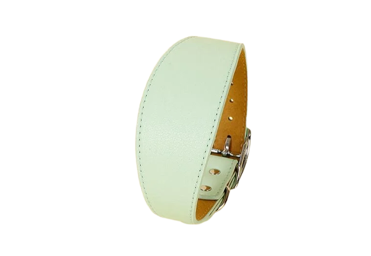Collar ancho de cuero suave para perros para razas pequeñas, cuello acolchado cómodo y seguro para Whippet, Saluki, galgo italiano