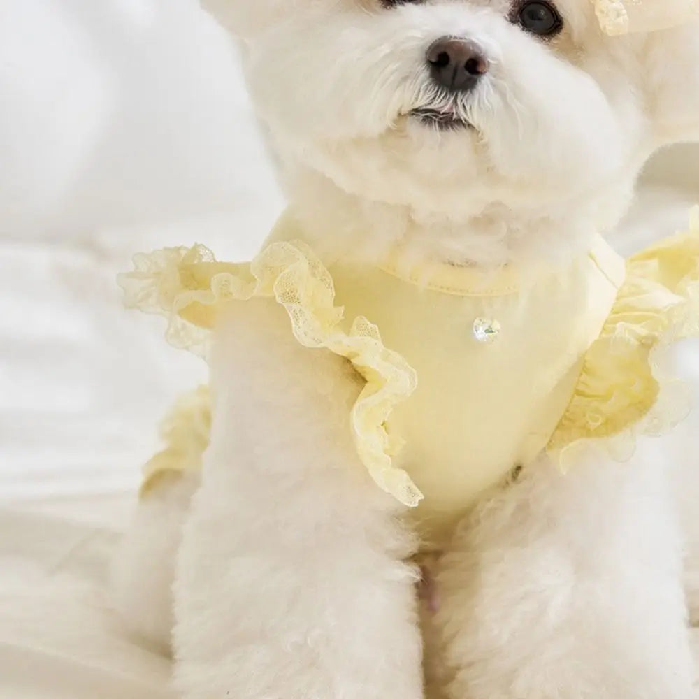 Suministros para mascotas, chaleco de verano de encaje para mascotas, falda Base para gatos con manga voladora suave, ropa transpirable para perros y cachorros