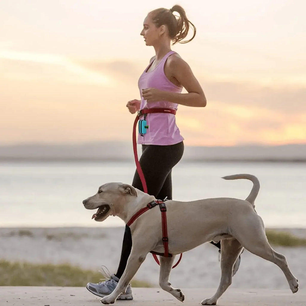 Dispensador de bolsas para excrementos de perros, bolsa de almacenamiento, productos, bolsas de residuos para mascotas, portador, accesorios para caminar, suministros de limpieza