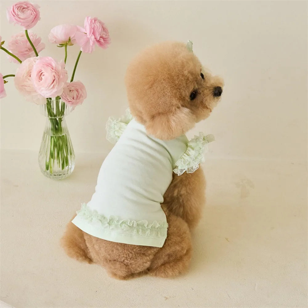Suministros para mascotas, chaleco de verano de encaje para mascotas, falda Base para gatos con manga voladora suave, ropa transpirable para perros y cachorros