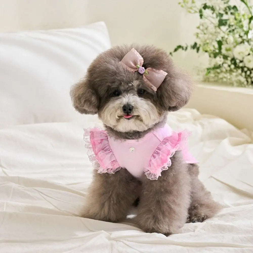 Suministros para mascotas, chaleco de verano de encaje para mascotas, falda Base para gatos con manga voladora suave, ropa transpirable para perros y cachorros
