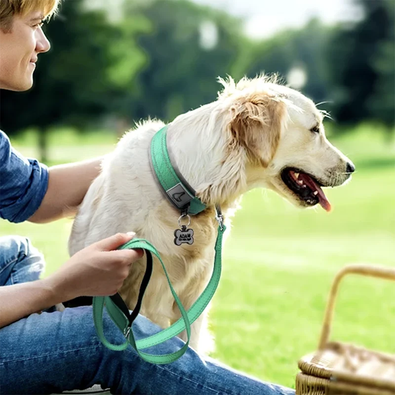 Collares Acolchados para Perros Pequeños, Medianos y Grandes, Collares Reflectantes Suaves y Anchos para Mascotas, Collares Ajustables de Nailon y Neopreno Resistentes