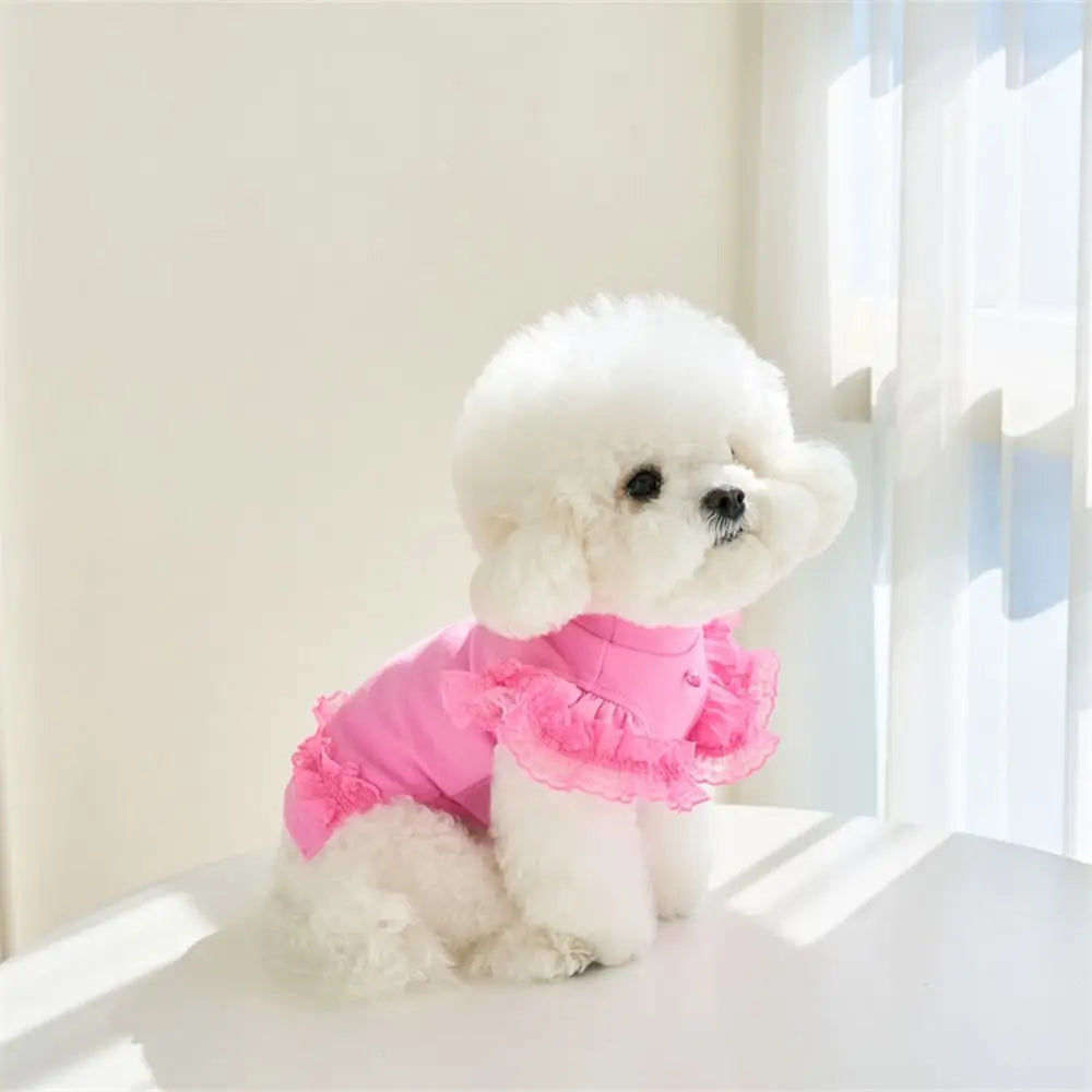 Suministros para mascotas, chaleco de verano de encaje para mascotas, falda Base para gatos con manga voladora suave, ropa transpirable para perros y cachorros