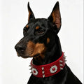 1 collar para perro con remaches, rojo, moderno, genial, estilo street punk, adecuado para salidas diarias y juegos.