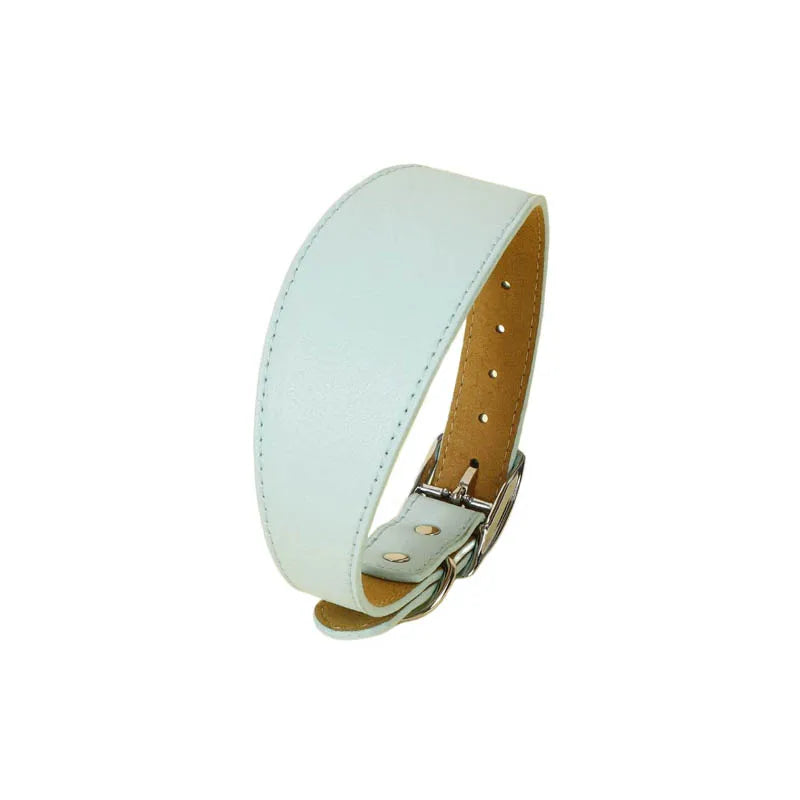 Collar ancho de cuero suave para perros para razas pequeñas, cuello acolchado cómodo y seguro para Whippet, Saluki, galgo italiano