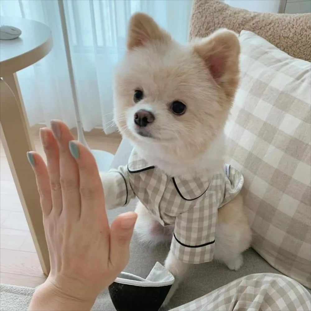 Decoración para mascotas, camisas cómodas a cuadros Ins, ropa para mascotas, pijamas elegantes a la moda para perros, disfraz, ropa bonita para perros y gatos, fiestas para mascotas