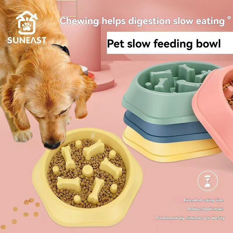 Cuenco de comida para mascotas, respetuoso con el medio ambiente