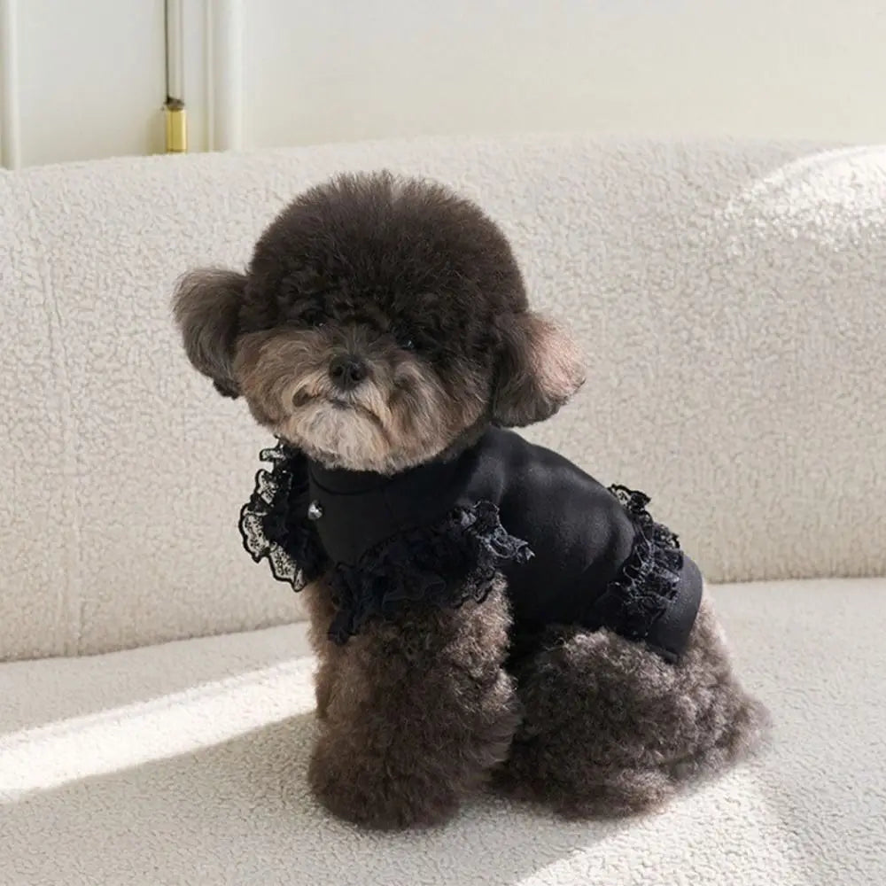 Suministros para mascotas, chaleco de verano de encaje para mascotas, falda Base para gatos con manga voladora suave, ropa transpirable para perros y cachorros