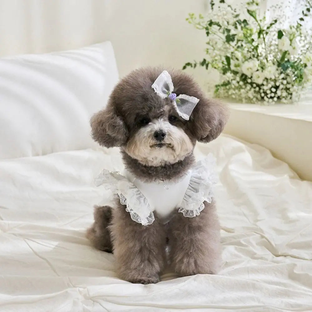 Suministros para mascotas, chaleco de verano de encaje para mascotas, falda Base para gatos con manga voladora suave, ropa transpirable para perros y cachorros