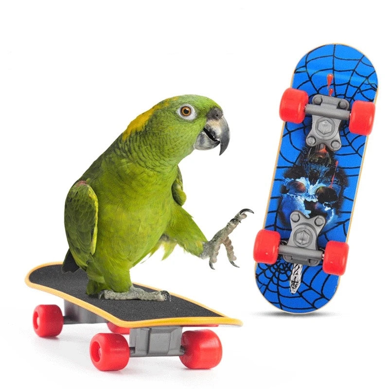 Monopatín de entrenamiento para mascotas, suministros para animales, monopatín, Lovebird, canarios, perca, loro, pájaro, Calopsita, accesorios para pájaros, 1 ud.
