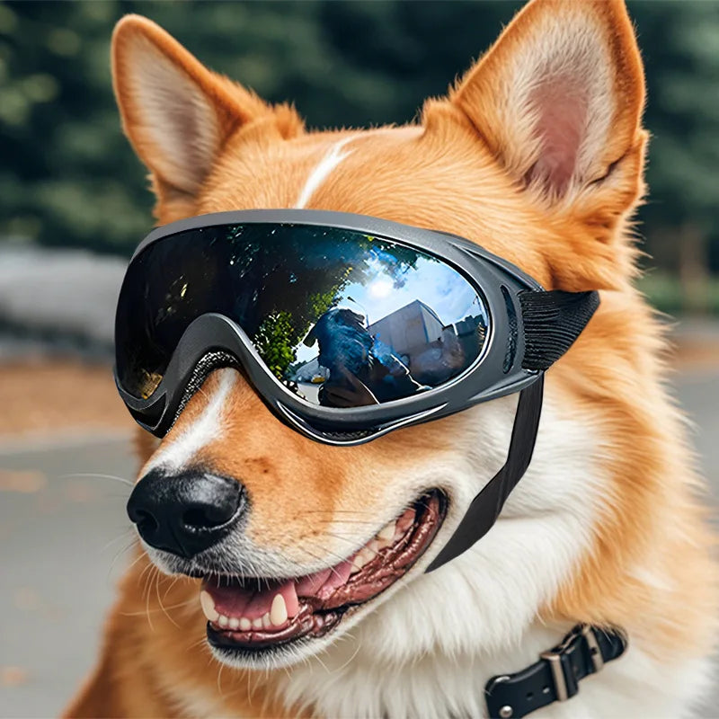 Gafas de sol ajustables para perros, gafas de sol Anti-UV, protección para los ojos, gafas de sol negras ampliamente utilizadas, suministros para perros y mascotas