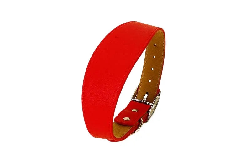 Collar ancho de cuero suave para perros para razas pequeñas, cuello acolchado cómodo y seguro para Whippet, Saluki, galgo italiano