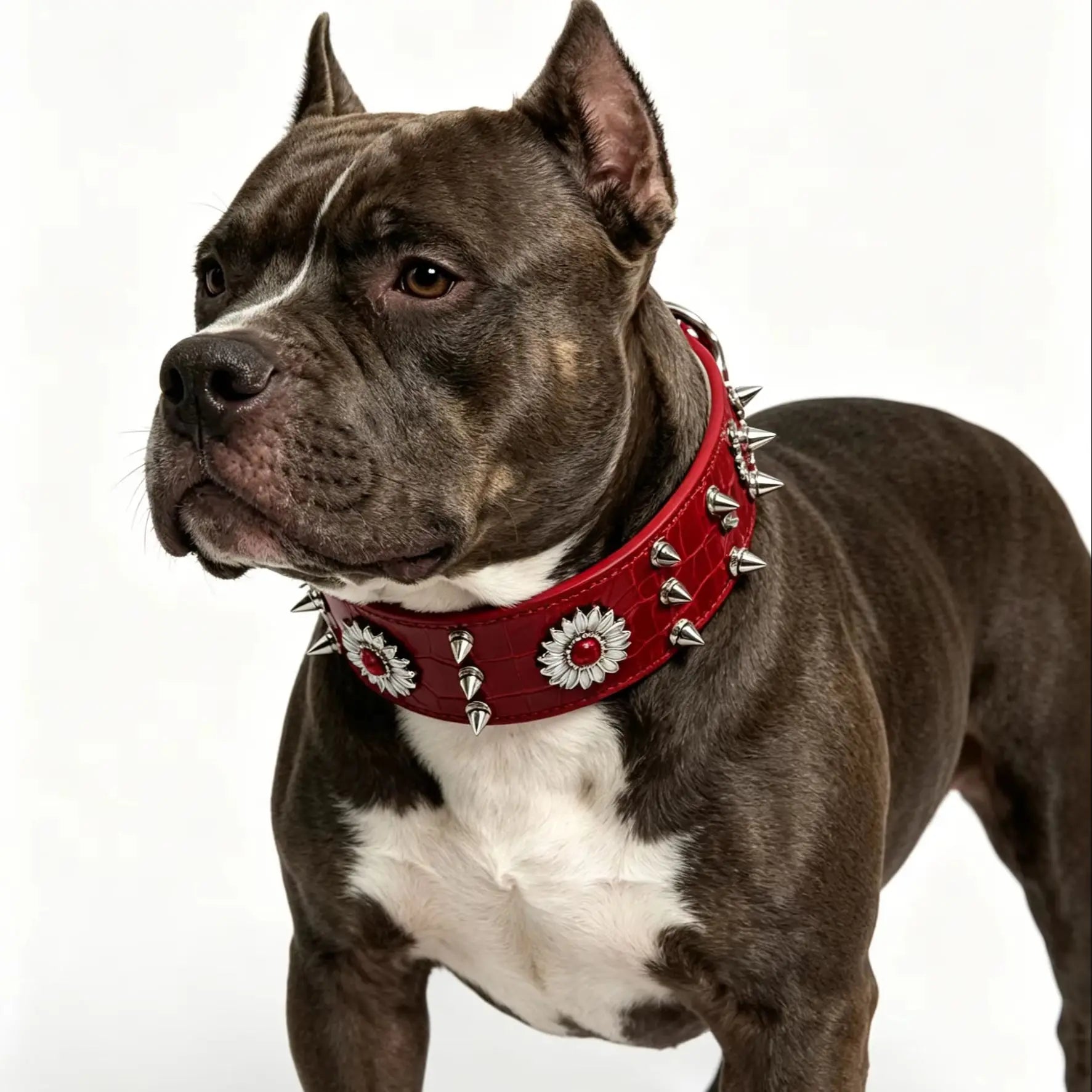 1 collar para perro con remaches, rojo, moderno, genial, estilo street punk, adecuado para salidas diarias y juegos.