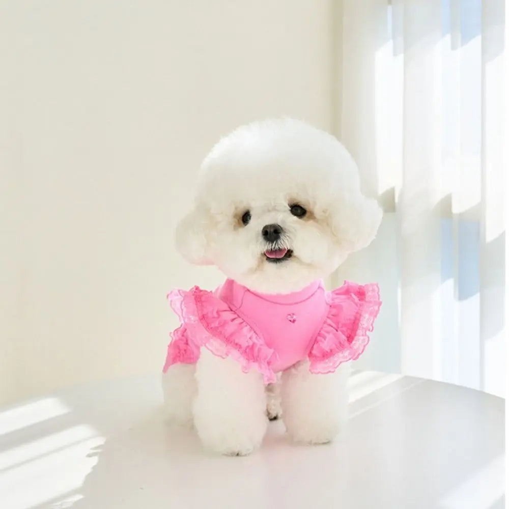 Suministros para mascotas, chaleco de verano de encaje para mascotas, falda Base para gatos con manga voladora suave, ropa transpirable para perros y cachorros