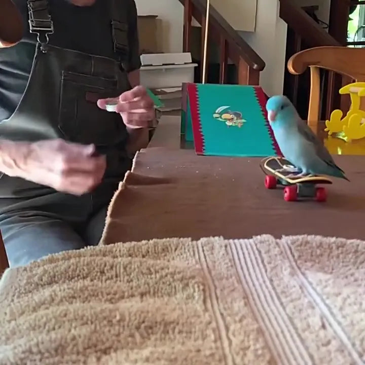 Monopatín de entrenamiento para mascotas, suministros para animales, monopatín, Lovebird, canarios, perca, loro, pájaro, Calopsita, accesorios para pájaros, 1 ud.