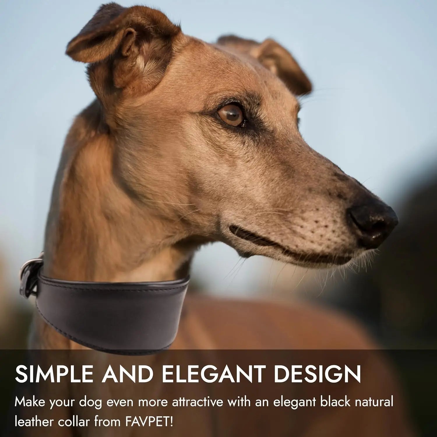 Collar ancho de cuero suave para perros para razas pequeñas, cuello acolchado cómodo y seguro para Whippet, Saluki, galgo italiano