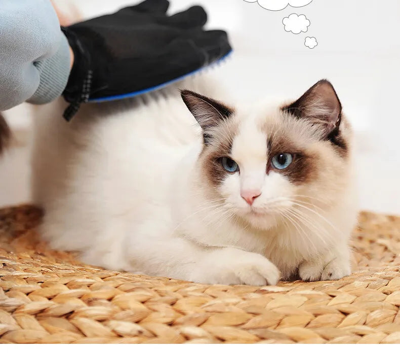 Cepillo de masaje para baño de mascotas, artículos para mascotas, guante de aseo para perros, guante de baño para mascotas, guante de aseo para gatos, artículos para perros, artículos para gatos