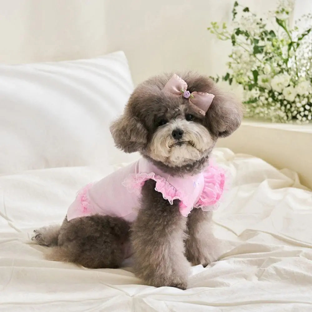 Suministros para mascotas, chaleco de verano de encaje para mascotas, falda Base para gatos con manga voladora suave, ropa transpirable para perros y cachorros