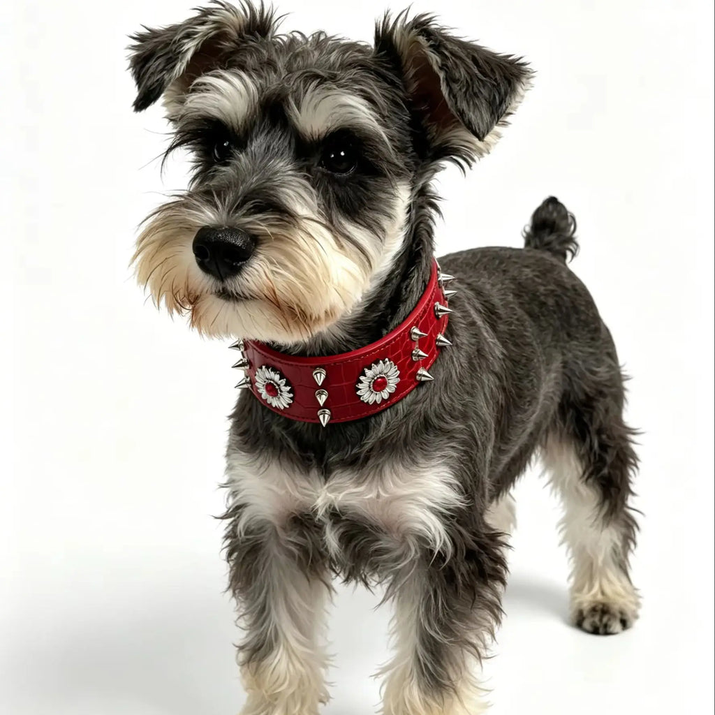 1 collar para perro con remaches, rojo, moderno, genial, estilo street punk, adecuado para salidas diarias y juegos.
