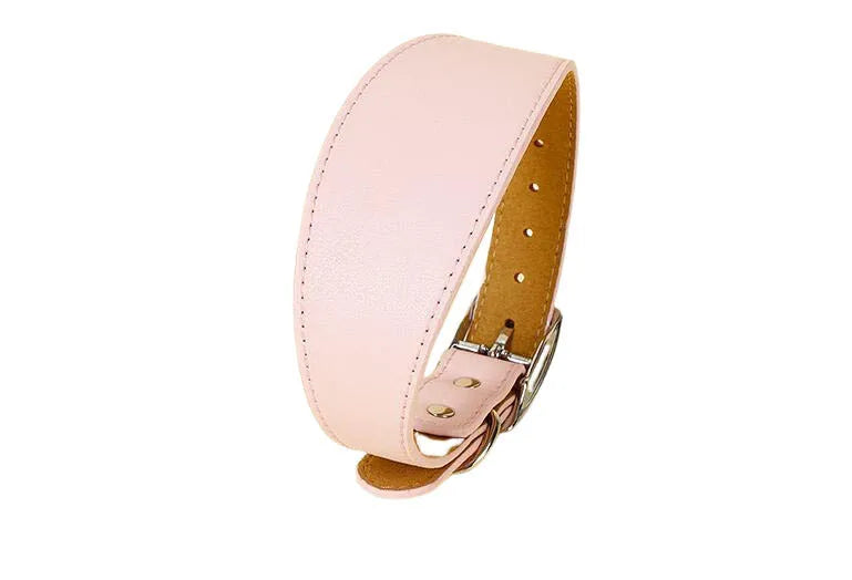 Collar ancho de cuero suave para perros para razas pequeñas, cuello acolchado cómodo y seguro para Whippet, Saluki, galgo italiano